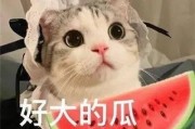 娱乐吃瓜君网红虐猫是谁,娱乐吃瓜君揭露虐猫网红真相